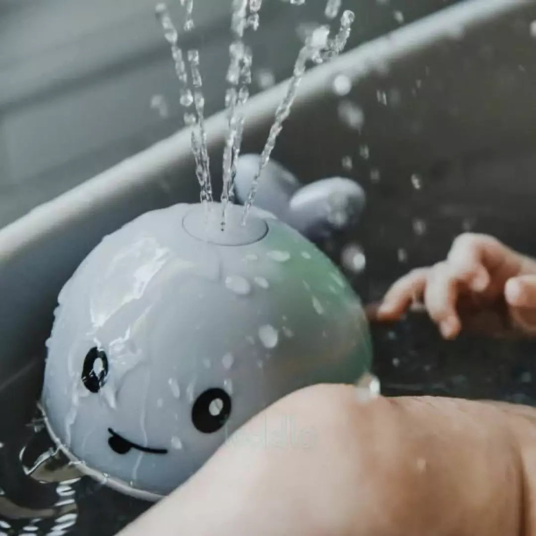 WillydeBadwalvis3.webp